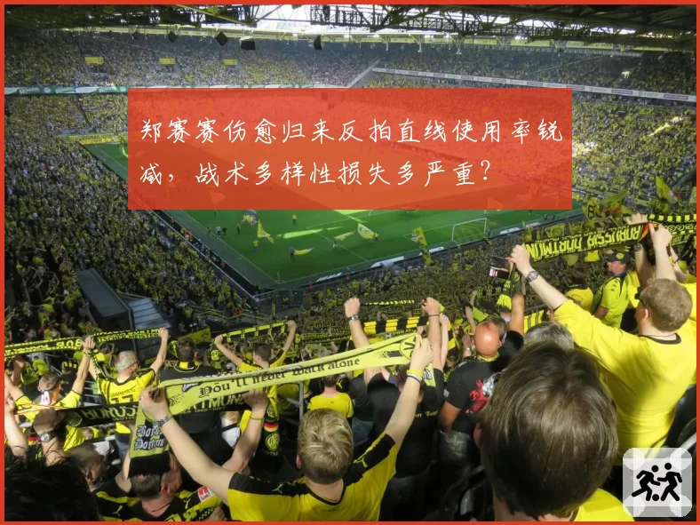 郑赛赛伤愈归来反拍直线使用率锐减，战术多样性损失多严重？