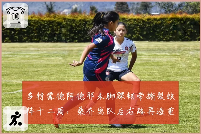 多特蒙德阿德耶米脚踝韧带撕裂缺阵十二周，桑乔离队后右路再造重创沙欣妙手何在？