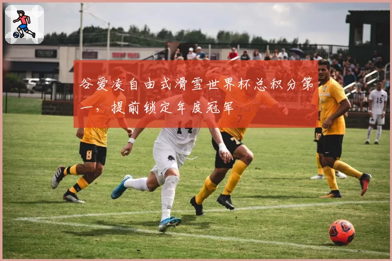谷爱凌自由式滑雪世界杯总积分第一，提前锁定年度冠军